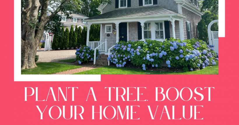 Plant a Tree, Boost Your Home Value